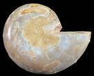 Sliced, Agatized Ammonite Fossil (Half) - Jurassic #54052-1